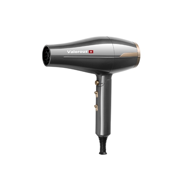 سشوار Valorous + Hair Dryer 2600 وات پروسالن